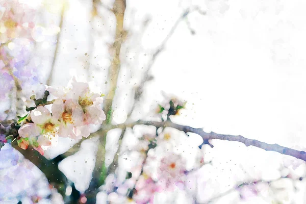 水彩風と桜の花の抽象的なイメージ — ストック写真