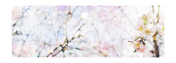 Aquarel stijl en abstracte afbeelding van kersenboom bloemen — Stockfoto