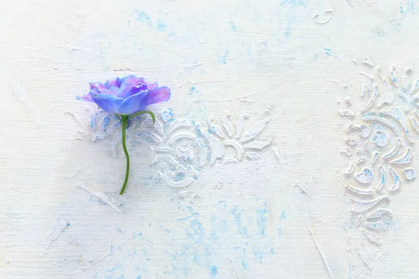 Primavera Blu Con Fiore Viola Sfondo Bianco Vintage Legno Vista — Foto Stock