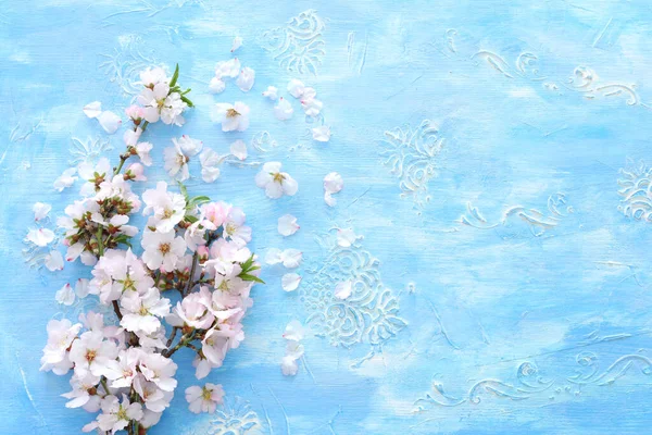 Photo Spring White Cherry Blossom Tree Vintage Pastel Blue Wooden — Stockfoto