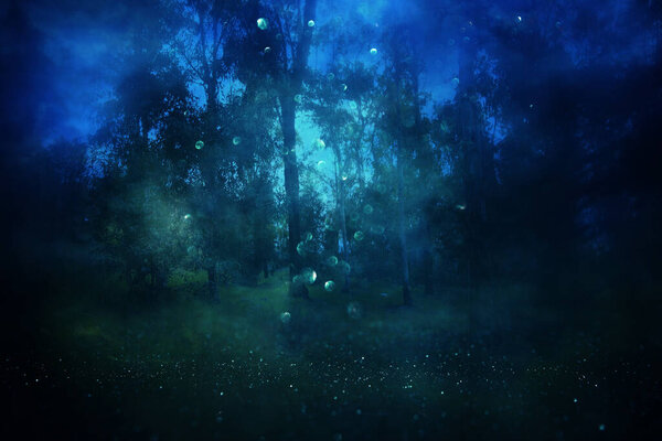 Abstract and mysterious background of blurred forest. Halloween concept and fairy tale