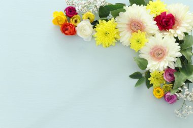 rengarenk ve beyaz Gerbera çiçekleri pastel ahşap arka planda. Üst görünüm, düz uzanma