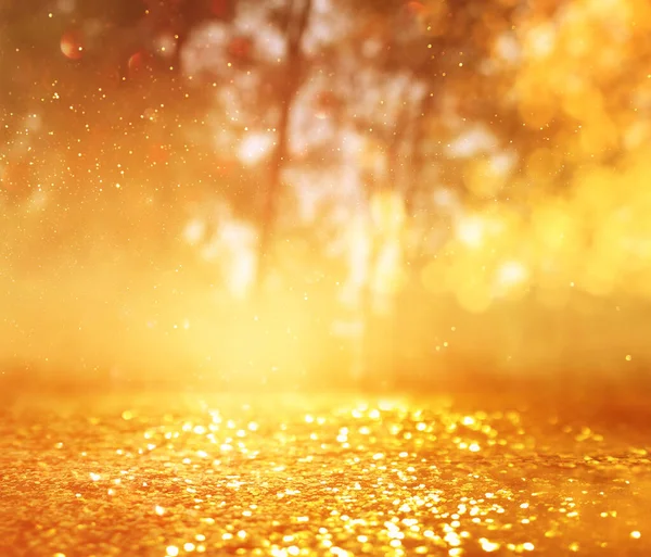 Concepto Fondo Foto Luz Estalló Entre Los Árboles Brillo Oro —  Fotos de Stock