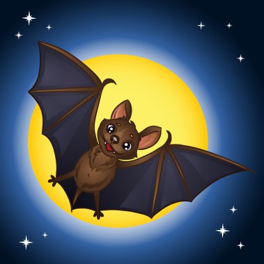 Cadılar Bayramı uçan yarasa 