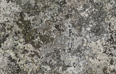 kaba renkli grunge arkaplanı