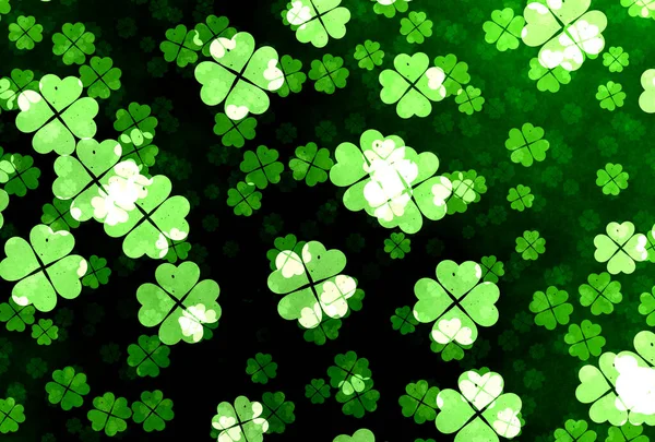 Shamrocks Klöver Blommig Bakgrund — Stockfoto