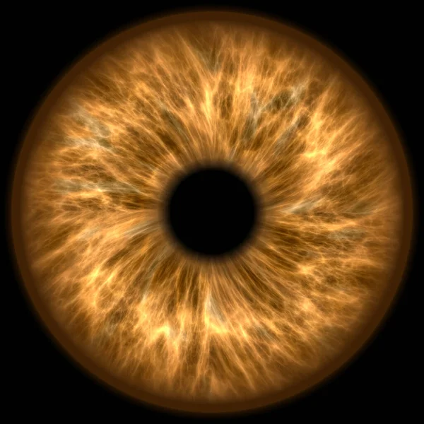 İnsan kahverengi göz irisi 