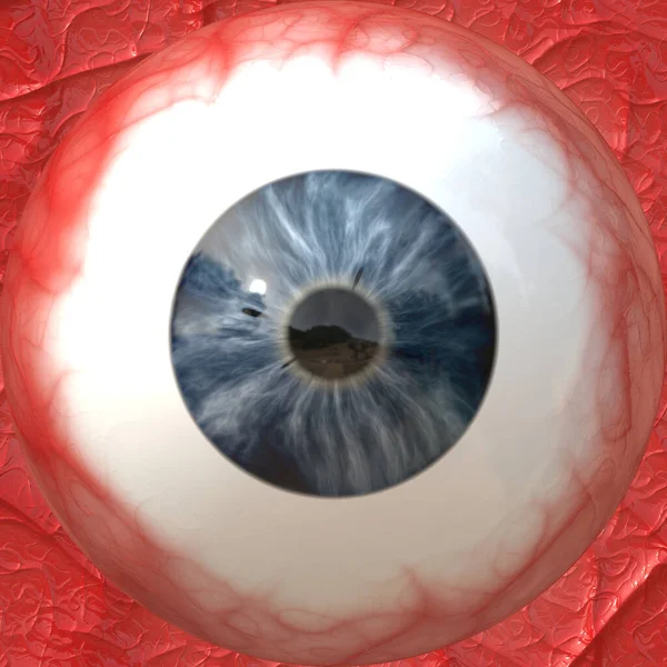 human eye ball iris