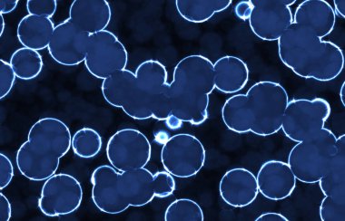 Parlayan dairesel yuvarlak bakteriler