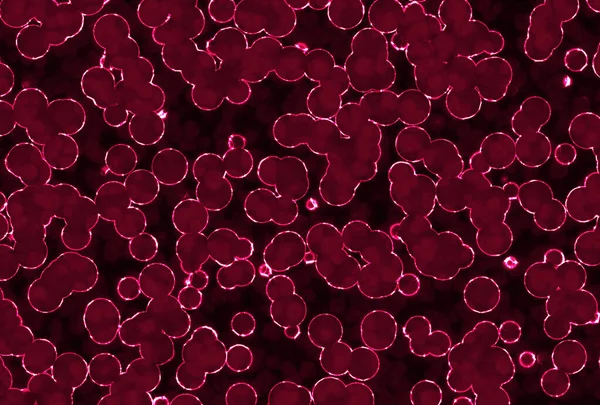 Zářící Kruhové Kulaté Bakterie — Stock fotografie