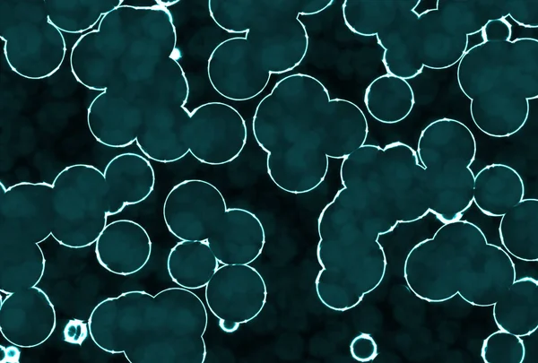 Λαμπερά Κυκλικά Στρογγυλά Βακτηρίδια — Φωτογραφία Αρχείου