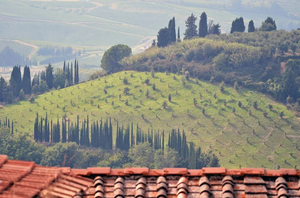 Tuscany Landscape House Roofs — Stock Photo, Image