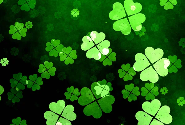 Lucky Shamrocks Clover Leaves — Stock Photo, Image