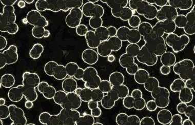 Parlayan soyut hücreler