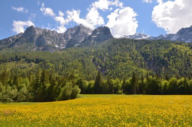 Dağları ve mavi gökyüzü olan güzel bir manzara.