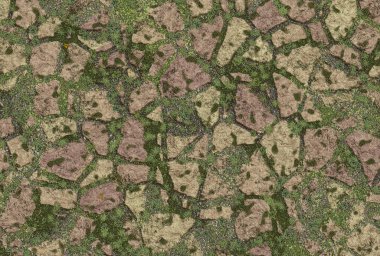 Yosun ve yosunlu taş duvar dokusu