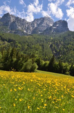 Dağları ve mavi gökyüzü olan güzel bir manzara.
