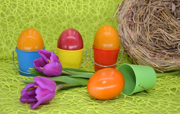 Easter Eggs Colored Buckets Bird Nest — Stock Photo, Image