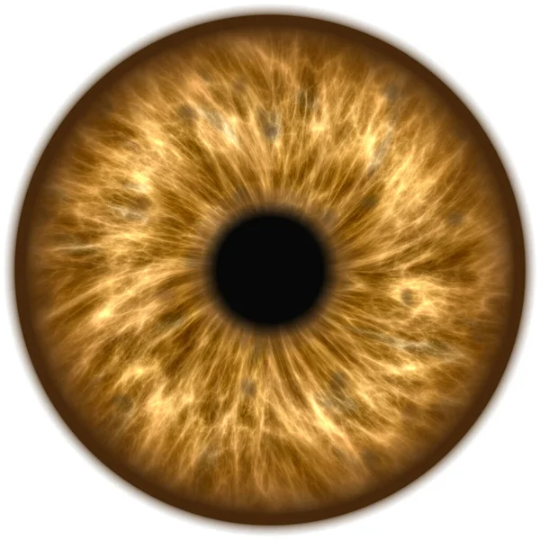 Oko Ludzkiej Twarzy Ilustracja Wektora — Zdjęcie stockowe