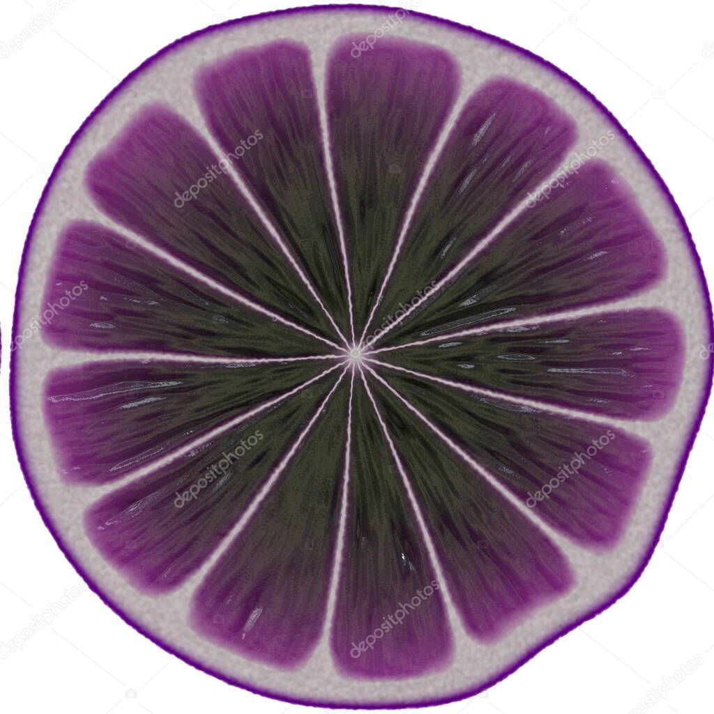 purple onion isolated on white background