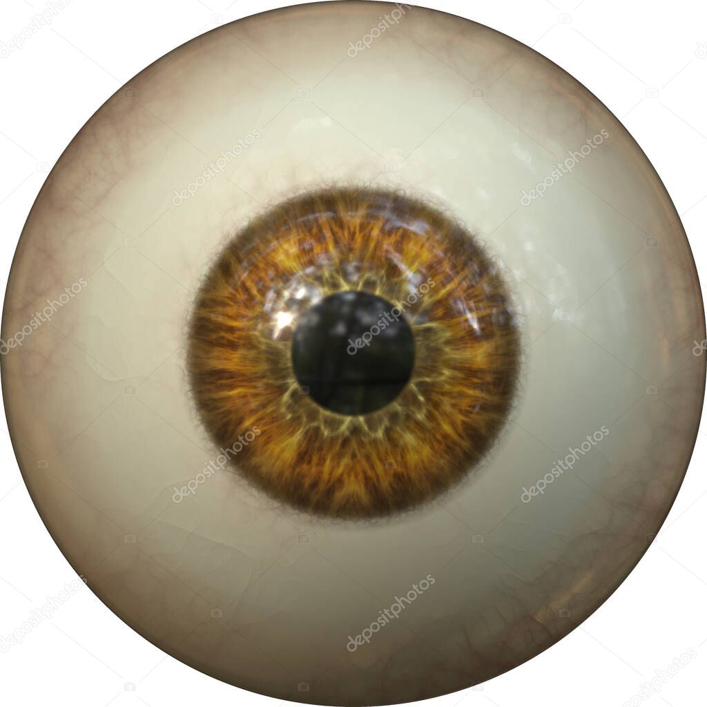 eyeball with iris pupil 