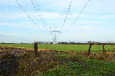 Çamurlu tekerlek izleri, kışın bulutlu bir günde Hollandalı bir polder arazisindeki kırık bir kapıya gidiyor..