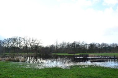 Kışın ortasında Groningen Kornhorn 'da küçük bir göl.