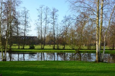 Küçük göl manzaralı, Kornhorn, Groningen, Hollanda