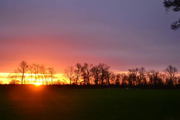 Vista sobre el paisaje agrícola de tierras lecheras en la campiña holandesa en Groningen Países Bajos bajo el hermoso atardecer — Foto de Stock