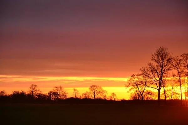 Vista sobre el paisaje agrícola de tierras lecheras en la campiña holandesa en Groningen Países Bajos bajo el hermoso atardecer — Foto de Stock