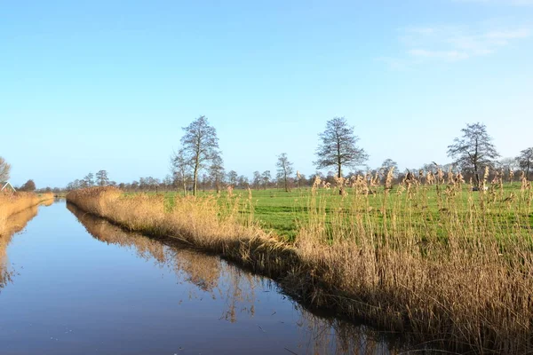 Doezum 'da günbatımı Groningen yakınlarında Doezumertocht adında bir tarım arazisi.