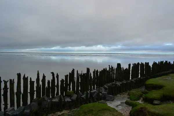 Sand flats at low tide of tidal sea Waddensea near Moddergat, Netherlands — Stock Photo, Image