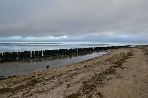 Sand flats at low tide of tidal sea Waddensea near Moddergat, Netherlands — ストック写真