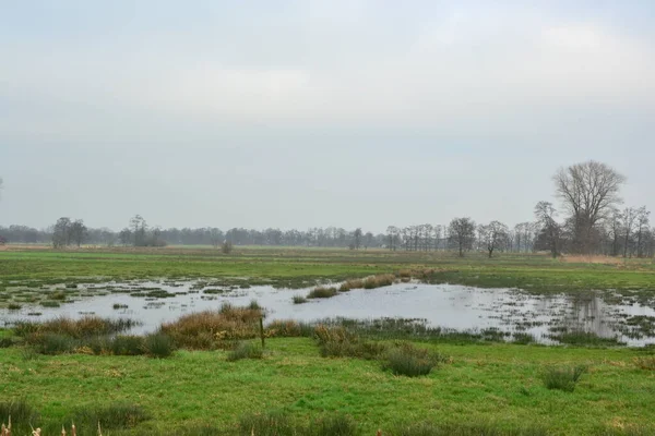 Widok krajobrazu rolniczego wsi holenderskiej w Groningen Holandia — Zdjęcie stockowe