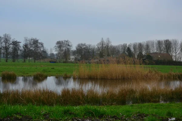 Vista da paisagem agrícola do campo holandês em Groningen Países Baixos — Fotografia de Stock