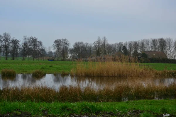Hollanda 'nın Groningen bölgesinin tarımsal manzarası