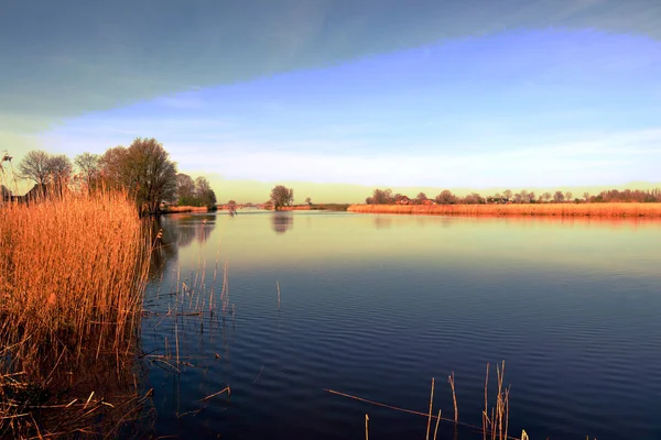 River Bank Manzarası yakınlarındaki Yeşil Yaz Çayırı. Çimen tarlası ya da çimen, Göl yakınlarındaki Ağaç Ormanı. Kırsal Idyllic Manzarası, Mavi Gök ve Bulutlar. Açık Gün Güneşli Bahar Sabahı Pond Shore, Friesland, Kollum