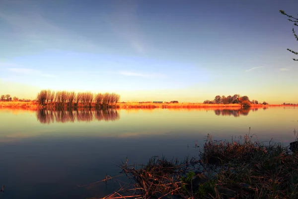 River Bank Manzarası yakınlarındaki Yeşil Yaz Çayırı. Çimen tarlası ya da çimen, Göl yakınlarındaki Ağaç Ormanı. Kırsal Idyllic Manzarası, Mavi Gök ve Bulutlar. Açık Gün Güneşli Bahar Sabahı Pond Shore, Friesland, Kollum