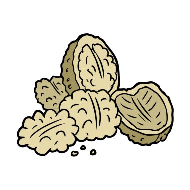 vektör çizim karikatür ceviz