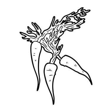 vektör çizim karikatür havuç