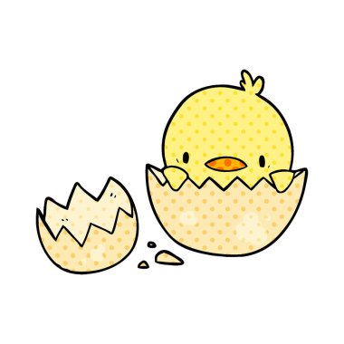 sevimli çizgi civciv yumurtadan çıkım