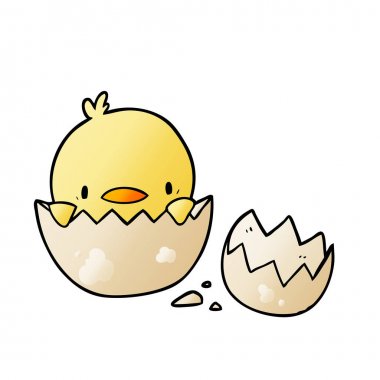 sevimli çizgi civciv yumurtadan çıkım