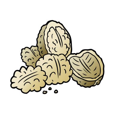 vektör çizim karikatür ceviz