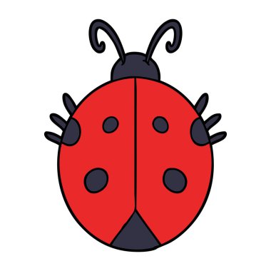 vektör çizim karikatür uğur böceği