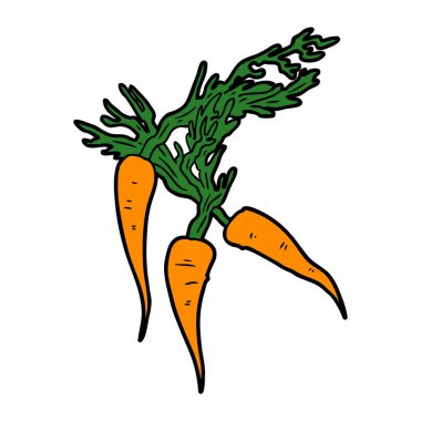 vektör çizim karikatür havuç