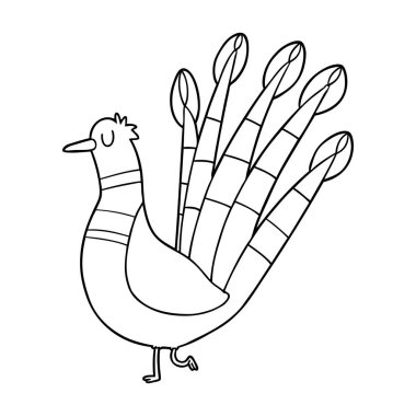 vektör çizim karikatür tavus kuşu