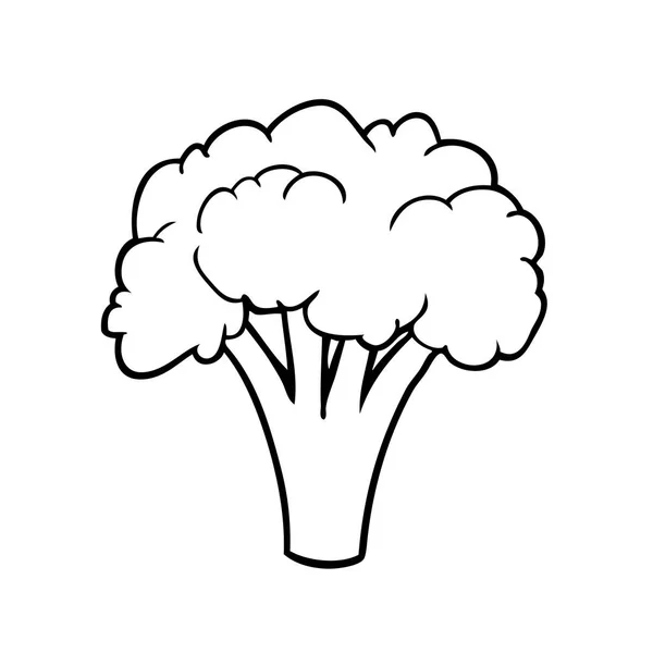 Disegno Linea Broccolo — Vettoriale Stock