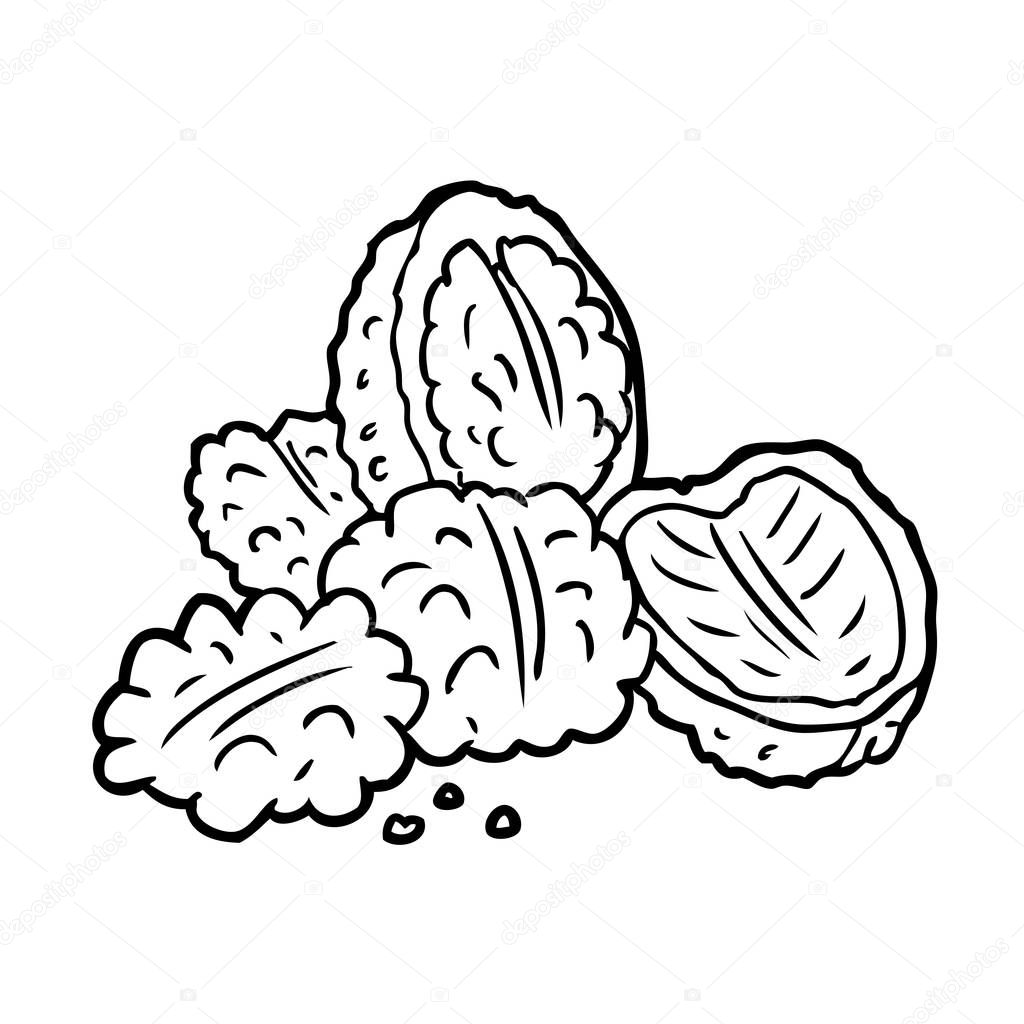 Line Drawing Walnuts — Stock Vector © lineartestpilot #193125752