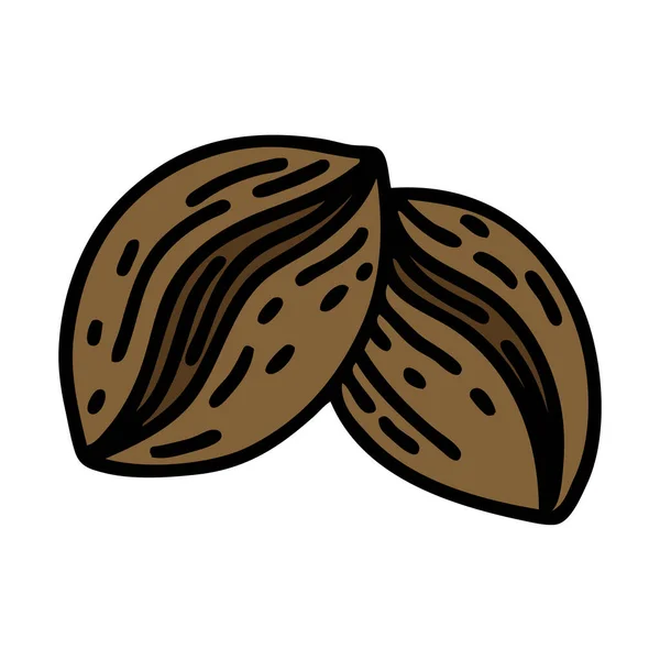 コーヒー豆の伝統的なスタイルのタトゥーは — ストックベクタ