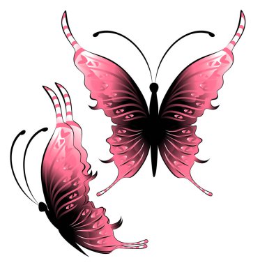 Beyaz arkaplandaki parlak pembe kelebekler